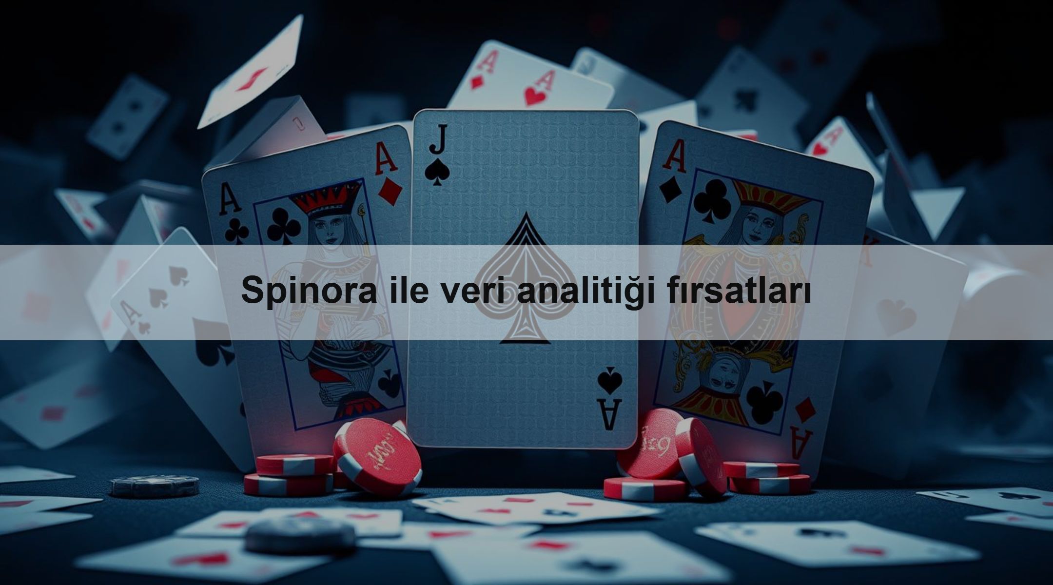 Spinora ile veri analitiği fırsatları 1 Spinora ile veri analitiği fırsatları